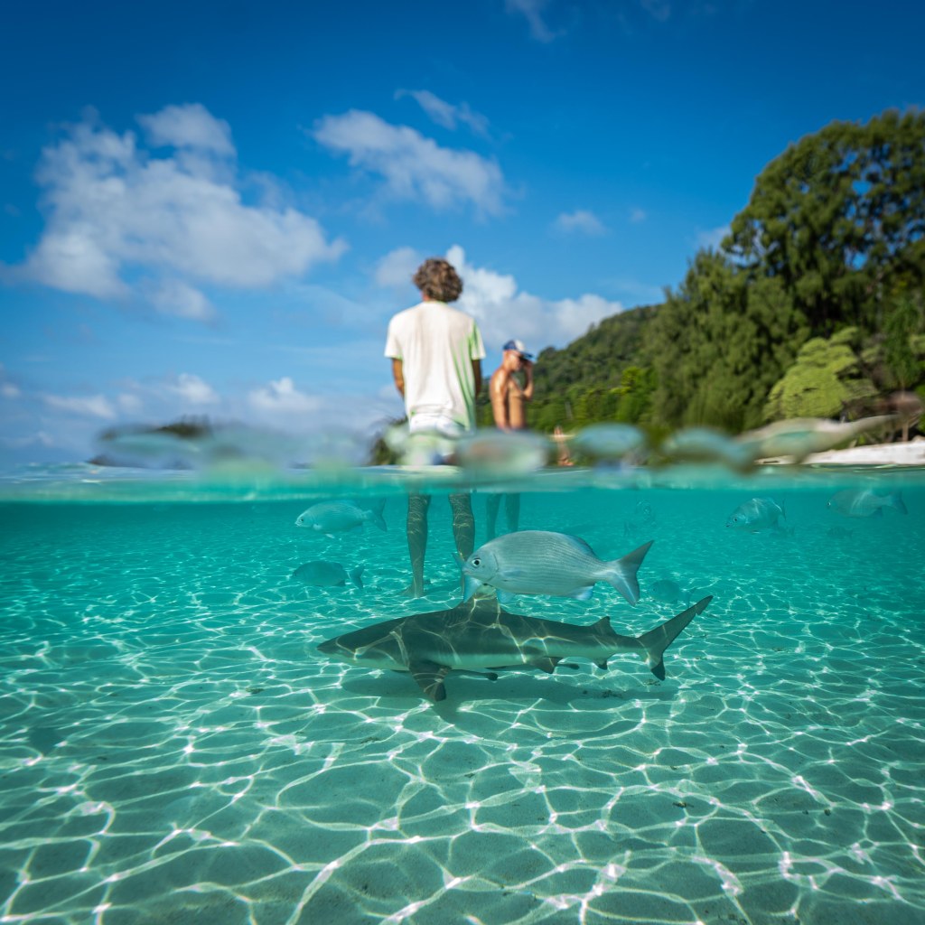 Raja Ampat, Indonesia